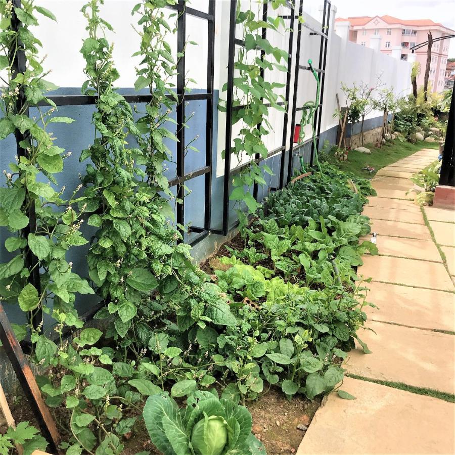 Duong Xua Villa Dalat Eksteriør bilde